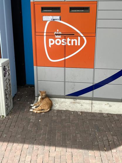 Rode kat met witte sokjes ligt voor een PostNL pakjeskluis/brievenbus-combi. Boven de kat een groot oranje blok met in wit het PostNL-logo, een soort plectrum met erin de tekst “postnl” en een kroontje op de o