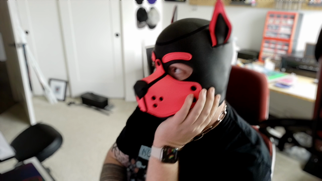 Camera recording of me in my black and pink pup hood looking exasperated at two screens of inherited code that has zero commenting or documentation.