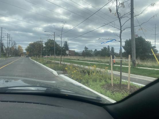 We are driving in a right lane. To our right is a concrete curb, with an area between us and the bike lane planted with saplings and flowering plants.